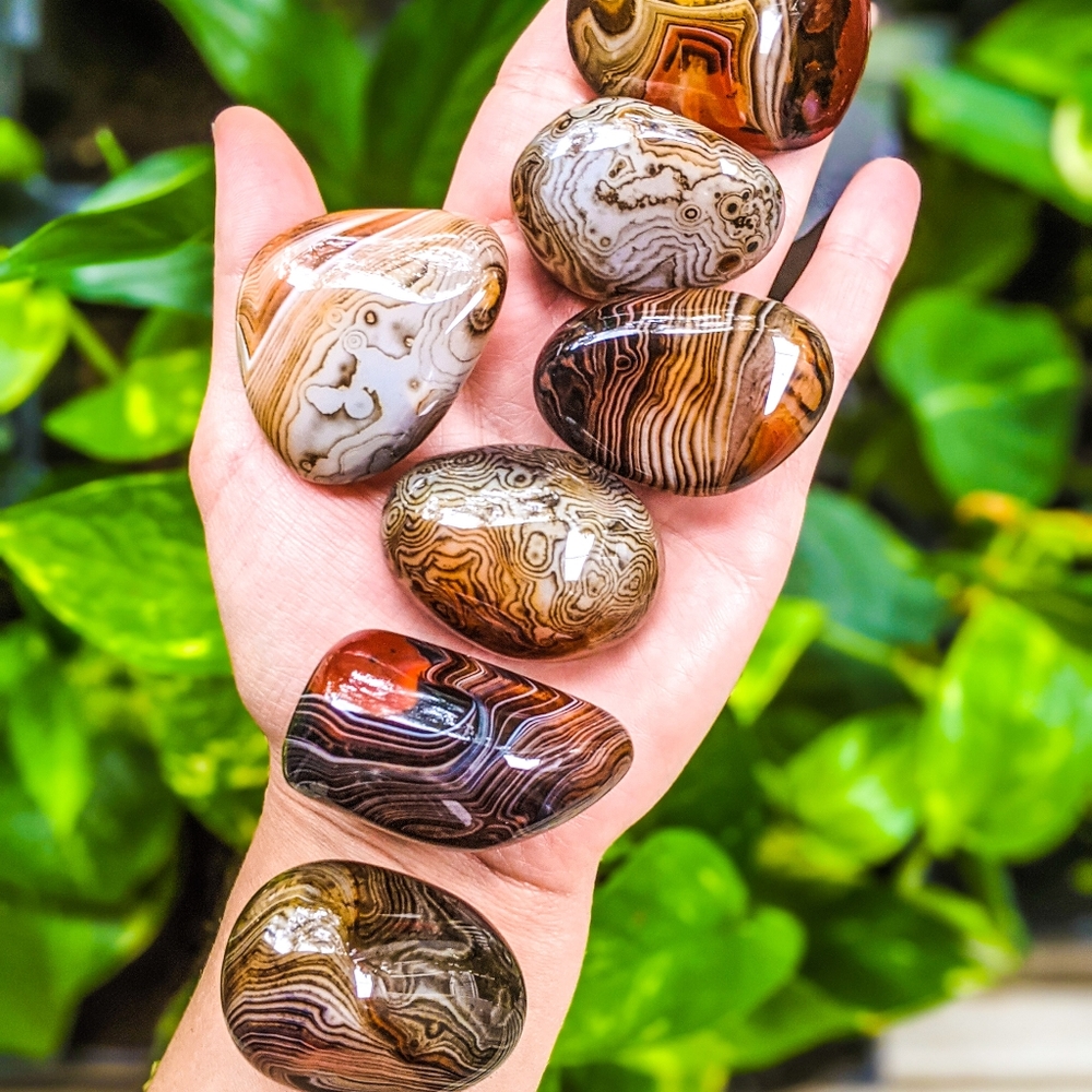 Crazy Lace Agate